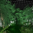 InScape