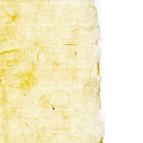 Korean White